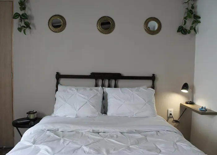 Cinnamon Loft, Next To Masaryk Polanco Lodge Città del Messico